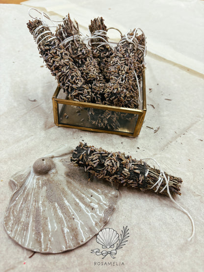 COLLEZIONE COMPLETA — LE 12 FORME DEL FUMO