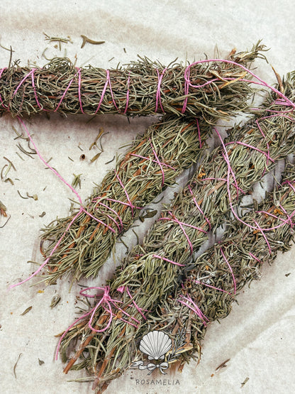 COLLEZIONE COMPLETA — LE 12 FORME DEL FUMO