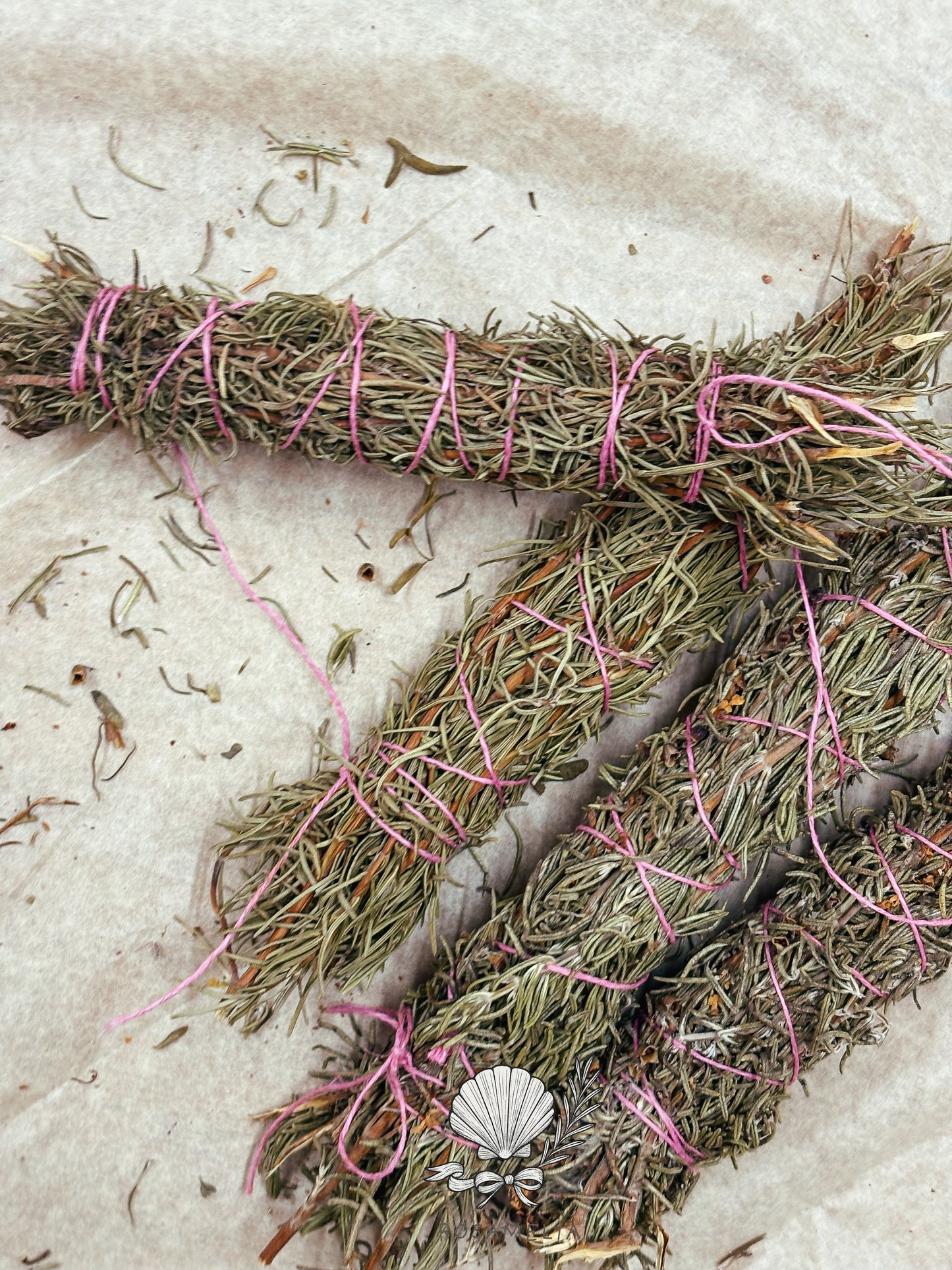 COLLEZIONE COMPLETA — LE 12 FORME DEL FUMO